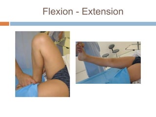 Flexion - Extension 
 