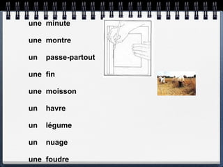 une minute

une montre

un   passe-partout

une fin

une moisson

un   havre

un   légume

un   nuage

une foudre
 