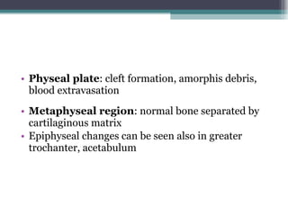 Physeal plate : cleft formation, amorphis debris, blood extravasation Metaphyseal region : normal bone separated by cartilaginous matrix Epiphyseal changes can be seen also in greater trochanter, acetabulum 