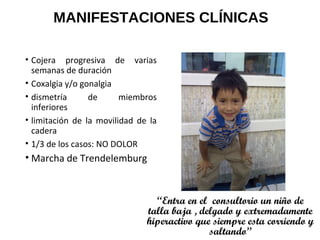MANIFESTACIONES CLÍNICAS
• Cojera progresiva de varias
semanas de duración
• Coxalgia y/o gonalgia
• dismetría de miembros
inferiores
• limitación de la movilidad de la
cadera
• 1/3 de los casos: NO DOLOR
• Marcha de Trendelemburg
“Entra en el consultorio un niño de
talla baja , delgado y extremadamente
hiperactivo que siempre esta corriendo y
saltando”
 