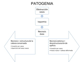 PATOGENIA
 