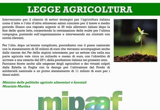 LEGGE AGRICOLTURA
Interveniamo per il rilancio di settori strategici per l’agricoltura italiana
come il latte e l’olio d’oliva attraverso azioni concrete per il breve e medio
periodo. Diamo una risposta urgente ai 35 mila allevatori italiani dopo la
fine delle quote latte, consentendo la rateizzazione delle multe per l’ultima
campagna, puntando sull’organizzazione e intervenendo sui contratti con
novità rilevanti.
Per l’olio, dopo un’annata complicata, procediamo con il piano nazionale
con lo stanziamento di 32 milioni di euro che verranno accompagnati anche
dalle risorse dei Psr delle regioni interessate, per un settore che nella sua
parte agricola vale circa un miliardo e mezzo di euro, con l’obiettivo di
arrivare a una crescita del 25% della produzione italiana nei prossimi anni.
Facciamo fronte anche alle esigenze degli agricoltori e dei vivaisti colpiti
dalla Xylella in Puglia con la deroga per l’attivazione del Fondo di
solidarietà nazionale e un primo stanziamento di 11 milioni di euro per i
danni subiti.
Ministro delle politiche agricole alimentari e forestali
Maurizio Martina
 