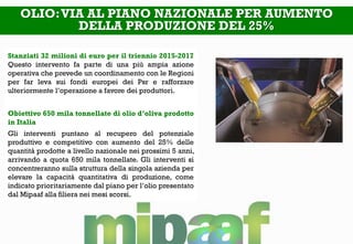 OLIO:VIA AL PIANO NAZIONALE PER AUMENTO
DELLA PRODUZIONE DEL 25%
Stanziati 32 milioni di euro per il triennio 2015-2017
Questo intervento fa parte di una più ampia azione
operativa che prevede un coordinamento con le Regioni
per far leva sui fondi europei dei Psr e rafforzare
ulteriormente l’operazione a favore dei produttori.
Obiettivo 650 mila tonnellate di olio d’oliva prodotto
in Italia
Gli interventi puntano al recupero del potenziale
produttivo e competitivo con aumento del 25% delle
quantità prodotte a livello nazionale nei prossimi 5 anni,
arrivando a quota 650 mila tonnellate. Gli interventi si
concentreranno sulla struttura della singola azienda per
elevare la capacità quantitativa di produzione, come
indicato prioritariamente dal piano per l’olio presentato
dal Mipaaf alla filiera nei mesi scorsi.
 