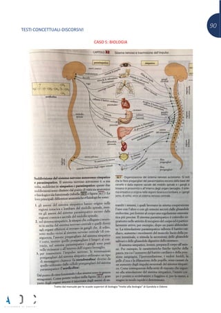 90
TESTI CONCETTUALI-DISCORSIVI
CASO 5: BIOLOGIA
Tratto dal manuale per le scuole superiori di biologia “Invito alla biologia” di Gandola e Odone
 