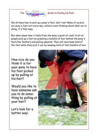 The                       Guide to Picking Up Feet



We all know how to pick up a pony's feet, don't we? Many of us pick
our pony's feet out every day, without even thinking about what we're
doing, it's that easy.

But what about how it feels from the pony's point of view? A lot of
people pick up a foot by grabbing a handful of hair behind the pony's
foot (the feather) and pulling upwards. They will even keep hold of
the foot while they pick it out by keeping hold of that handful of hair.
 