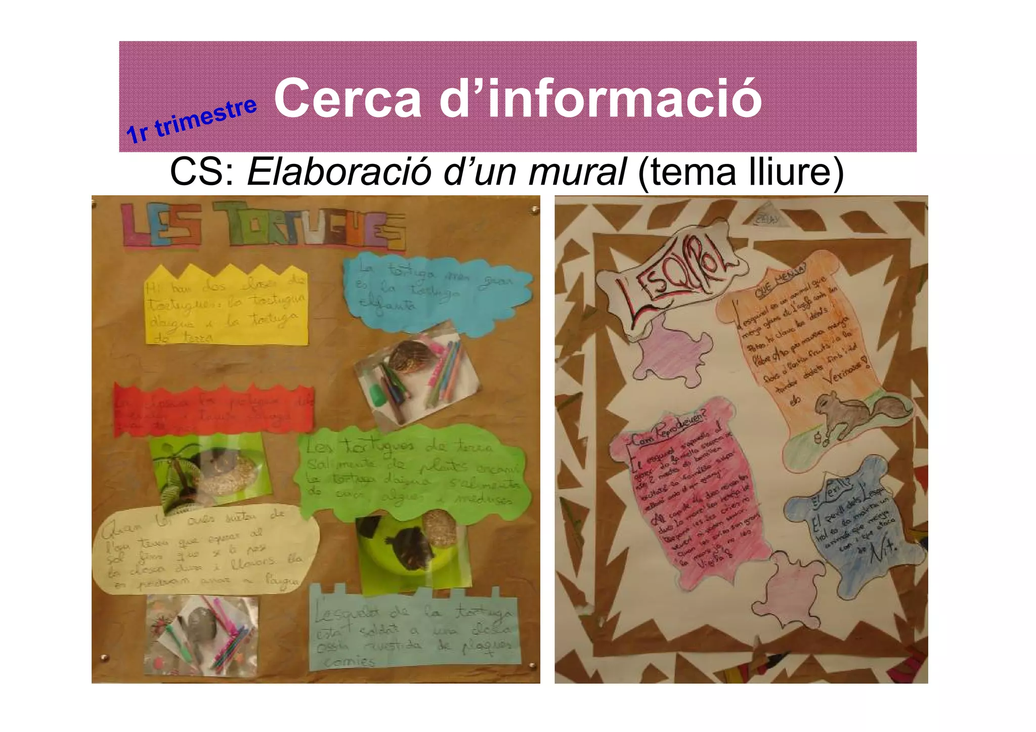 mes
         tre   Cerca d’informació
1r tri
   CS: Elaboració d’un mural (tema lliure)
 