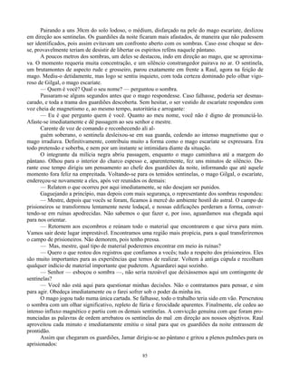 85
Pairando a uns 30cm do solo lodoso, o médium, disfarçado na pele do mago escaríate, deslizou
em direção aos sentinelas. Os guardiões da noite ficaram mais afastados, de maneira que não pudessem
ser identificados, pois assim evitavam um confronto aberto com os sombras. Caso esse choque se des-
se, provavelmente teriam de desistir de libertar os espíritos reféns naquele pântano.
A poucos metros dos sombras, um deles se destacou, indo em direção ao mago, que se aproxima-
va. O momento requeria muita concentração, e um silêncio constrangedor pairava no ar. O sentinela,
um brutamontes de aspecto rude e grosseiro, parou exatamente em frente a Raul, agora na feição de
mago. Mediu-o detidamente, mas logo se sentiu inquieto, com toda certeza dominado pelo olhar vigo-
roso de Gilgal, o mago escaríate.
— Quem é você? Qual o seu nome? — perguntou o sombra.
Passaram-se alguns segundos antes que o mago respondesse. Caso falhasse, poderia ser desmas-
carado, e toda a trama dos guardiões descoberta. Sem hesitar, o ser vestido de escaríate respondeu com
voz cheia de magnetismo e, ao mesmo tempo, autoritária e arrogante:
— Eu é que pergunto quem é você. Quanto ao meu nome, você não é digno de pronunciá-lo.
Afaste-se imediatamente e dê passagem ao seu senhor e mestre.
Carente de voz de comando e reconhecendo ali al-
guém soberano, o sentinela desleixou-se em sua guarda, cedendo ao intenso magnetismo que o
mago irradiava. Definitivamente, contribuiu muito a forma como o mago escaríate se expressara. Era
todo pretensão e soberba, e nem por um instante se intimidara diante da situação.
O integrante da milícia negra abriu passagem, enquanto o mago caminhava até a margem do
pântano. Olhou para o interior do charco espesso e, aparentemente, fez uns minutos de silêncio. Du-
rante esse tempo dirigiu um pensamento ao chefe dos guardiões da noite, informando que até aquele
momento fora feliz na empreitada. Voltando-se para os temidos sentinelas, o mago Gilgal, o escaríate,
endereçou-se novamente a eles, após ver reunidos os demais:
— Relatem o que ocorreu por aqui imediatamente, se não desejam ser punidos.
Gaguejando a princípio, mas depois com mais segurança, o representante dos sombras respondeu:
— Mestre, depois que vocês se foram, ficamos à mercê do ambiente hostil do astral. O campo de
prisioneiros se transformou lentamente neste lodaçal, e nossas edificações perderam a forma, conver-
tendo-se em ruínas apodrecidas. Não sabemos o que fazer e, por isso, aguardamos sua chegada aqui
para nos orientar.
— Retornem aos escombros e reúnam todo o material que encontrarem e que sirva para mim.
Vamos sair deste lugar imprestável. Encontramos uma região mais propícia, para a qual transferiremos
o campo de prisioneiros. Não demorem, pois tenho pressa.
— Mas, mestre, qual tipo de material poderemos encontrar em meio às ruínas?
— Quero o que restou dos registros que confiamos a vocês; tudo a respeito dos prisioneiros. Eles
são muito importantes para as experiências que temos de realizar. Voltem à antiga cúpula e recolham
qualquer indício de material importante que puderem. Aguardarei aqui sozinho.
— Senhor — esboçou o sombra —, não seria razoável que deixássemos aqui um contingente de
sentinelas?
— Você não está aqui para questionar minhas decisões. Não o contratamos para pensar, e sim
para agir. Obedeça imediatamente ou o farei sofrer sob o poder da minha ira.
O mago jogou tudo numa única cartada. Se falhasse, todo o trabalho teria sido em vão. Perscrutou
o sombra com um olhar significativo, repleto de fúria e ferocidade aparentes. Finalmente, ele cedeu ao
intenso influxo magnético e partiu com os demais sentinelas. A convicção genuína com que foram pro-
nunciadas as palavras de ordem arrebatou os sentinelas do mal .em direção aos nossos objetivos. Raul
aproveitou cada minuto e imediatamente emitiu o sinal para que os guardiões da noite entrassem de
prontidão.
Assim que chegaram os guardiões, Jamar dirigiu-se ao pântano e gritou a plenos pulmões para os
aprisionados:
 