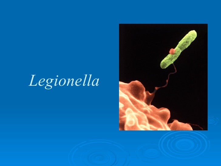 Legionella