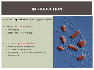  Genus Legionella is a pathogenic group
 Family legionellaceae-
 50 species
 More than 70 serogroups
 Species L. pneumophila:-
 80-90% human infections.
 At least 16 serogroups
 Serogroups 1,4 & 6- more commonly
implicated
INTRODUCTION
 