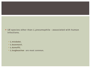  18 species other than L.pneumophila - associated with human
infections.
 L.micdadei,
 L.bozemanii,
 L.dumoffii,
 L.longbeachae are most common.
 