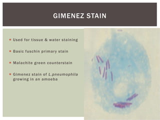  Used for tissue & water staining
 Basic fuschin primary stain
 Malachite green counterstain
 Gimenez stain of L.pneumophila
growing in an amoeba
GIMENEZ STAIN
 