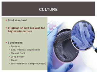  Gold standard
 Clinician should request for
Legionella culture
 Specimens:
 Sputum
 BAL/Tracheal aspirations
 Pleural fluid
 Lung biopsy
 Blood
 Environmental samples(water)
CULTURE
 