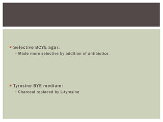  Selective BCYE agar:
 Made more selective by addition of antibiotics
 Tyrosine BYE medium:
 Charcoal replaced by L-tyrosine
 