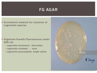  Enrichment medium for isolation of
Legionella species
 Organism Growth Fluorescence under
366 nm
 Legionella bozemanni - blue-white
 Legionella micdadei - none
 Legionella pneumophila -bright yellow
FG AGAR
 