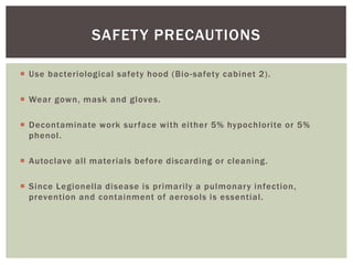  Use bacteriological safety hood (Bio-safety cabinet 2).
 Wear gown, mask and gloves.
 Decontaminate work surface with either 5% hypochlorite or 5%
phenol.
 Autoclave all materials before discarding or cleaning.
 Since Legionella disease is primarily a pulmonary infection,
prevention and containment of aerosols is essential.
SAFETY PRECAUTIONS
 