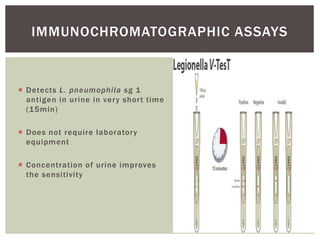 IMMUNOCHROMATOGRAPHIC ASSAYS
 Detects L. pneumophila sg 1
antigen in urine in very short time
(15min)
 Does not require laboratory
equipment
 Concentration of urine improves
the sensitivity
 