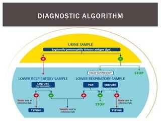 DIAGNOSTIC ALGORITHM
 