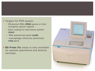 Targets for PCR assays:
 Ribosomal RNA (rRNA) genes or their
intergenic spacer regions
 Gene coding for heat-shock protein
(dnaJ)
 RNA polymerase gene (rpoB)
 macrophage infectivity potentiator
(mip) gene.
 BD Probe Tec assay is only available
for sputum specimens and detects
serotype.
 