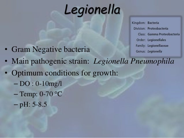 legionnaires disease case study Legionella in the workplace there were 449 confirmed cases of legionnaires’ disease but the case fatality was only 1 a similar study from norway concluded. legionnaires disease case study Legionella in the workplace there were 449 confirmed cases of legionnaires’ disease but the case fatality was only 1 a similar study from norway concluded.