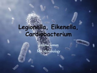 Legionella, Eikenella,
Cardiobacterium
Reshma Soman
MSc Microbiology
1
 
