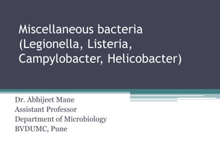 Miscellaneous bacteria
(Legionella, Listeria,
Campylobacter, Helicobacter)
Dr. Abhijeet Mane
Assistant Professor
Department of Microbiology
BVDUMC, Pune
 