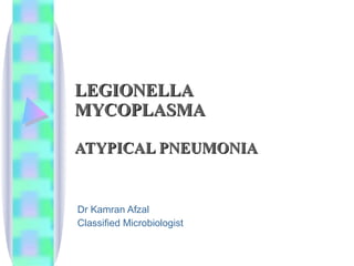 LEGIONELLA MYCOPLASMA ATYPICAL PNEUMONIA Dr Kamran Afzal Classified Microbiologist 