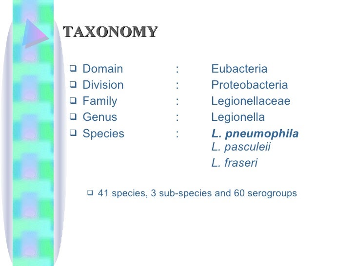 Legionella+Mycoplasma+Atypical Pneumonia