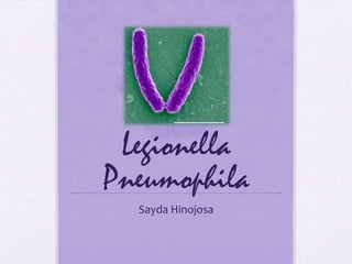 Legionella
Pneumophila
  Sayda Hinojosa
 