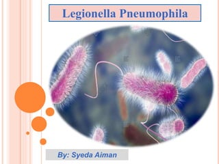 Legionella Pneumophila
By: Syeda Aiman
 