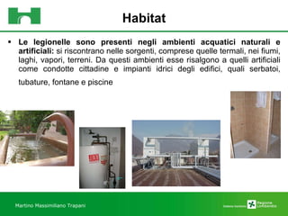 Habitat Le legionelle sono presenti negli ambienti acquatici naturali e artificiali:  si riscontrano nelle sorgenti, comprese quelle termali, nei fiumi, laghi, vapori, terreni. Da questi ambienti esse risalgono a quelli artificiali come condotte cittadine e impianti idrici degli edifici, quali serbatoi, tubature, fontane e piscine   Martino Massimiliano Trapani 