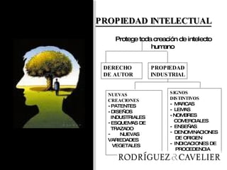 PROPIEDAD INTELECTUAL Protege toda creación de intelecto humano  DERECHO  DE AUTOR PROPIEDAD INDUSTRIAL   NUEVAS  CREACIONES - PATENTES - DISEÑOS INDUSTRIALES ESQUEMAS DE TRAZADO NUEVAS  VARIEDADES VEGETALES SIGNOS DISTINTIVOS -  MARCAS -  LEMAS - NOMBRES COMERCIALES -  ENSEÑAS DENOMINACIONES DE ORIGEN -  INDICACIONES DE PROCEDENCIA 