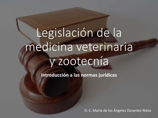 Legislación de la
medicina veterinaria
y zootecnía
Introducción a las normas jurídicas
D. C. María de los Ángeles Dorantes Nieto
 