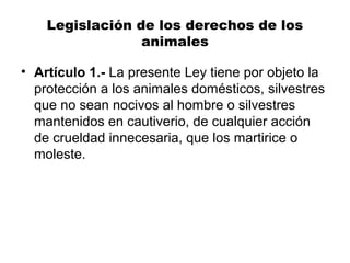 Legislación de los derechos de los
                 animales

• Artículo 1.- La presente Ley tiene por objeto la 
  protección a los animales domésticos, silvestres 
  que no sean nocivos al hombre o silvestres 
  mantenidos en cautiverio, de cualquier acción 
  de crueldad innecesaria, que los martirice o 
  moleste. 
 