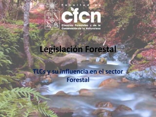 Legislación Forestal
TLCs y su influencia en el sector
Forestal
 