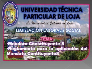 UNIVERSIDAD TÉCNICA  PARTICULAR DE LOJA La Universidad Católica de Loja. LEGISLACION LABORAL Y SOCIAL TEMA:  ,[object Object]