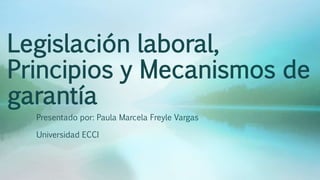 Legislación laboral,
Principios y Mecanismos de
garantía
Presentado por: Paula Marcela Freyle Vargas
Universidad ECCI
 