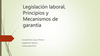 Legislación laboral,
Principios y
Mecanismos de
garantía
Arnold Efrén Cajica Piñeros
Legislación laboral
Universidad ECCI
 