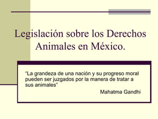 Legislación sobre los Derechos
    Animales en México.

  “La grandeza de una nación y su progreso moral
  pueden ser juzgados por la manera de tratar a
  sus animales”
                                Mahatma Gandhi
 