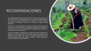 RECOMENDACIONES
• Los indígenas generalmente poseen la tierra en forma comunitaria y el
acceso al crédito y la asistencia técnica es muy limitado. Adicionalmente,
al reducirse sus áreas tradicionales de siembra, necesitan sistemas
alternativos de producción, para lo cual requieren un apoyo estatal
adecuado.
• Dado que sus necesidades abarcan todos los frentes, se precisa poner en
marcha para estos habitantes, un programa integral que les asegure la
tenencia de la tierra en tamaño adecuado, la organización comunitaria,
sistemas eficaces de producción.
• Se precisa establecer urgentemente un sistema productivo agropecuario
eficiente que permita generar los alimentos básicos que requieren los
habitantes de la región. Así mismo, es necesario robustecer todo el
sistema productivo para que asegure ocupación e ingreso adecuado a
todos los habitantes que lo requieren.
 