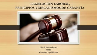 LEGISLACIÓN LABORAL,
PRINCIPIOS Y MECANISMOS DE GARANTÍA
Lizeth Johana Bravo
46046
Mercadeo y publicidad
 