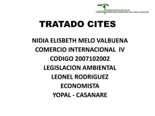 TRATADO CITES
NIDIA ELISBETH MELO VALBUENA
 COMERCIO INTERNACIONAL IV
      CODIGO 2007102002
   LEGISLACION AMBIENTAL
      LEONEL RODRIGUEZ
          ECONOMISTA
       YOPAL - CASANARE
 