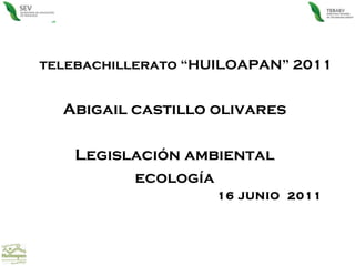 telebachillerato “HUILOAPAN” 2011 Abigail castillo olivares Legislación ambiental ecología 16 JUNIO  2011 