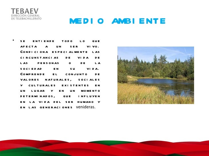 Legislacion Ambiental