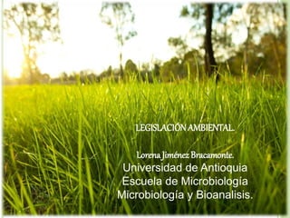 LEGISLACIÓNAMBIENTAL.
Lorena Jiménez Bracamonte.
Universidad de Antioquia
Escuela de Microbiología
Microbiología y Bioanalisis.
 
