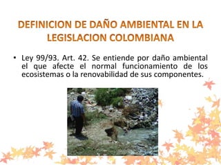• Ley 99/93. Art. 42. Se entiende por daño ambiental
el que afecte el normal funcionamiento de los
ecosistemas o la renovabilidad de sus componentes.
 
