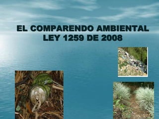 EL COMPARENDO AMBIENTAL
LEY 1259 DE 2008
 