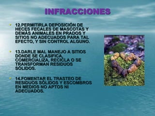INFRACCIONES
• 12.PERMITIRLA DEPOSICIÓN DE
HECES FECALES DE MASCOTAS Y
DEMÁS ANIMALES EN PRADOS Y
SITIOS NO ADECUADOS PARA TAL
EFECTO, Y SIN CONTROL ALGUNO.
• 13.DARLE MAL MANEJO A SITIOS
DONDE SE CLASIFICA,
COMERCIALIZA, RECICLA O SE
TRANSFORMAN RESIDUOS
SÓLIDOS.
• 14.FOMENTAR EL TRASTEO DE
RESIDUOS SÓLIDOS Y ESCOMBROS
EN MEDIOS NO APTOS NI
ADECUADOS.
 