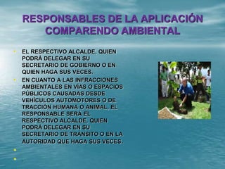 RESPONSABLES DE LA APLICACIÓN
COMPARENDO AMBIENTAL
• EL RESPECTIVO ALCALDE, QUIEN
PODRÁ DELEGAR EN SU
SECRETARIO DE GOBIERNO O EN
QUIEN HAGA SUS VECES.
• EN CUANTO A LAS INFRACCIONES
AMBIENTALES EN VÍAS O ESPACIOS
PÚBLICOS CAUSADAS DESDE
VEHÍCULOS AUTOMOTORES O DE
TRACCIÓN HUMANA O ANIMAL, EL
RESPONSABLE SERÁ EL
RESPECTIVO ALCALDE, QUIEN
PODRÁ DELEGAR EN SU
SECRETARIO DE TRÁNSITO O EN LA
AUTORIDAD QUE HAGA SUS VECES.
•
• .
 