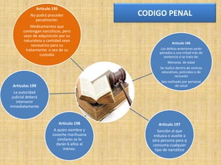 Artículo 195
No podrá proceder
penalmente:
Medicamentos que
contengan narcóticos, pero
sean de adquisición por su
naturaleza y cantidad sean
necesarios para su
tratamiento o sea de su
custodia

CODIGO PENAL

Articulo 196
Los delitos anteriores serán
penados a una mitad más de
sentencia si se trata de:

Menores de edad
Se realice dentro de centros
educativos, policiales o de
reclusión
Sea realizado por personal
de salud

Artículos 199
La autoridad
judicial deberá
intervenir
inmediatamente

Articulo 198

Artículo 197

A quien siembre y
coseche marihuana
similares se le
darán 6 años al
menos.

Sanción al que
induzca o auxilie a
otra persona para q
consuma cualquier
tipo de narcótico

 