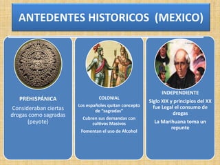 ANTEDENTES HISTORICOS (MEXICO)

INDEPENDIENTE

PREHISPÁNICA

COLONIAL

Consideraban ciertas
drogas como sagradas
(peyote)

Los españoles quitan concepto
de “sagradas”
Cubren sus demandas con
cultivos Masivos
Fomentan el uso de Alcohol

Siglo XIX y principios del XX
fue Legal el consumo de
drogas
La Marihuana toma un
repunte

 